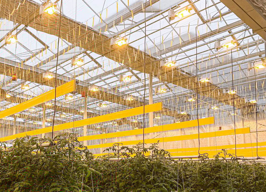 HPS Grow Light HighPressure Sodium Grow Light